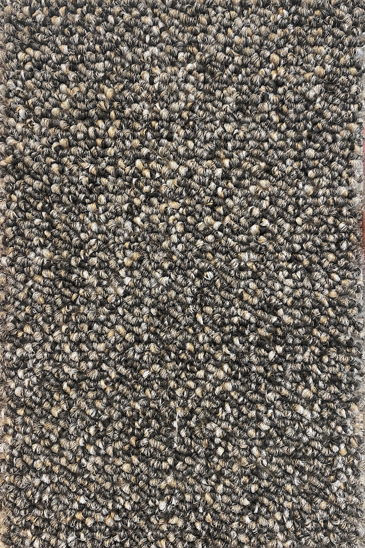 Ковровое покрытие "Bonkeel" Nero 97 (ширина 4м) — купить в Екатеринбурге