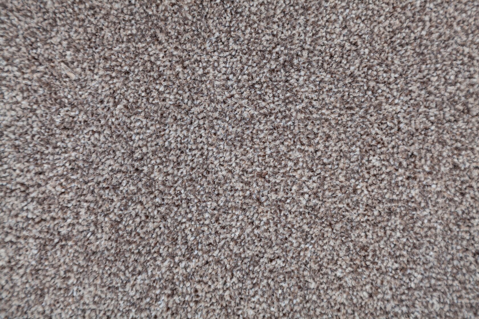 Ковровое покрытие "Bonkeel" Zodiak 39 (ширина 3м) — купить в Екатеринбурге