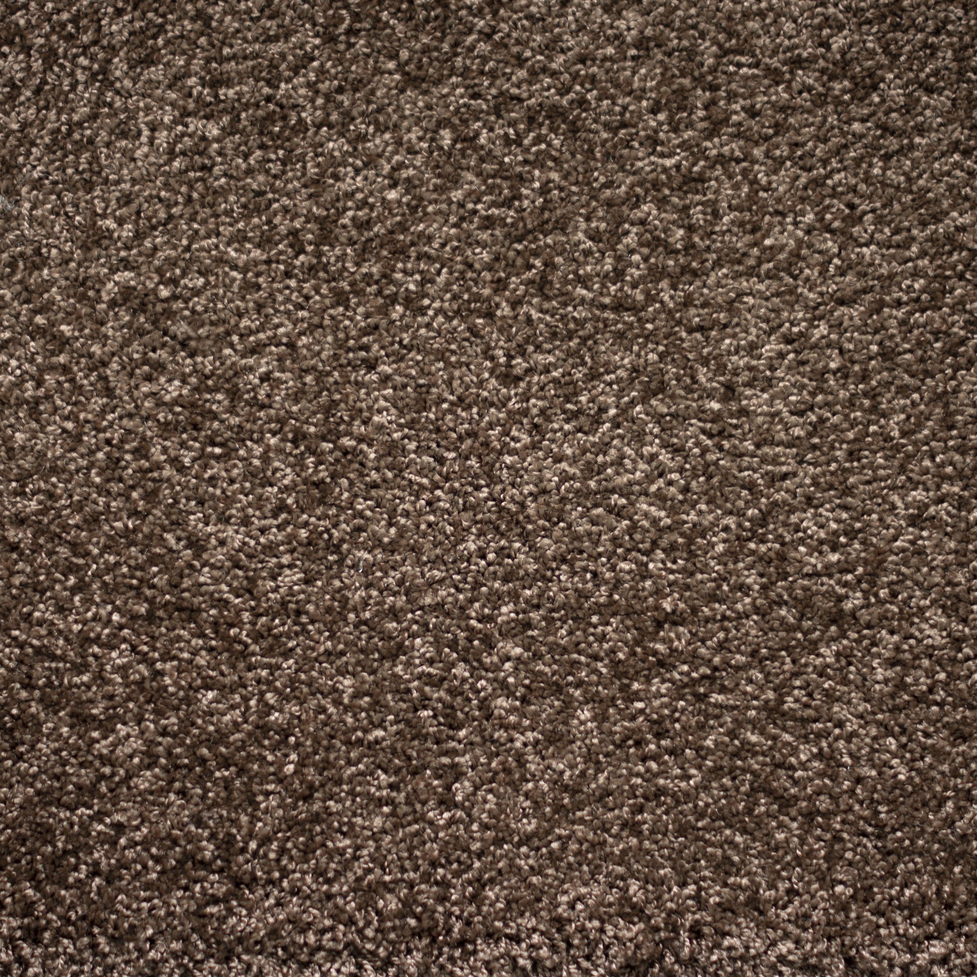 Ковролин "Зартекс" Tesoro 156 коричневый (4м) — купить в Екатеринбурге