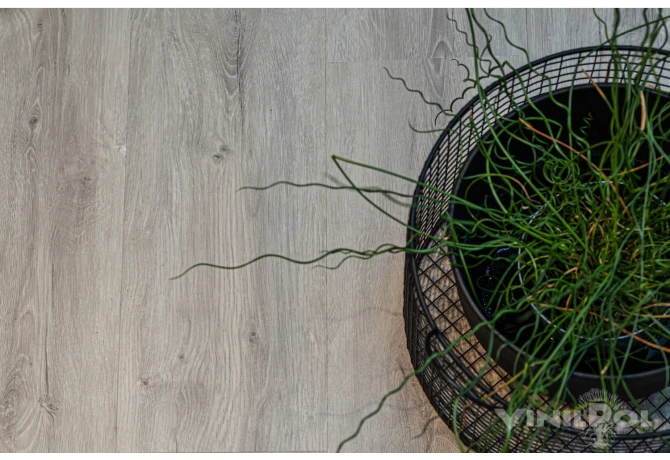 Кварц-винил Дуб Неаполь (1219,6*228,6*2 мм) — купить в Екатеринбурге