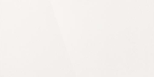 Керамогранит "Уральский Гранит" Палитра (1200*600 мм) Белый UF001PR — купить в Екатеринбурге