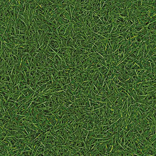 Линолеум бытовой "IVC" Bingo Grass 25 (3м) — купить в Екатеринбурге