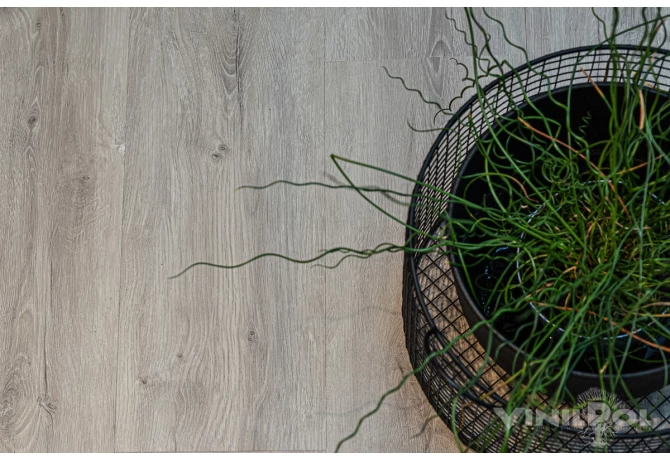 SPC ламинат Дуб Неаполь (1220*228*5 мм) — купить в Екатеринбурге