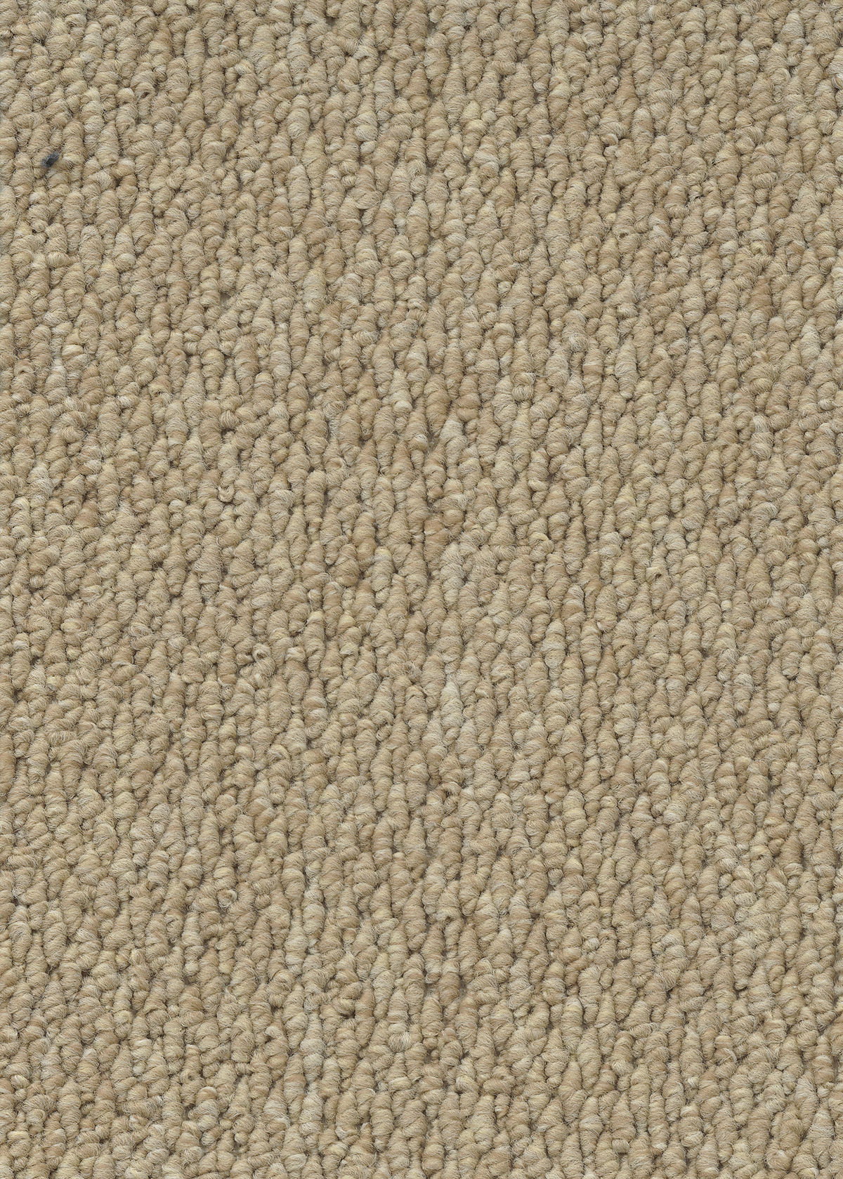 Ковровое покрытие "Bonkeel" Skye 50 (ширина 4м) — купить в Екатеринбурге