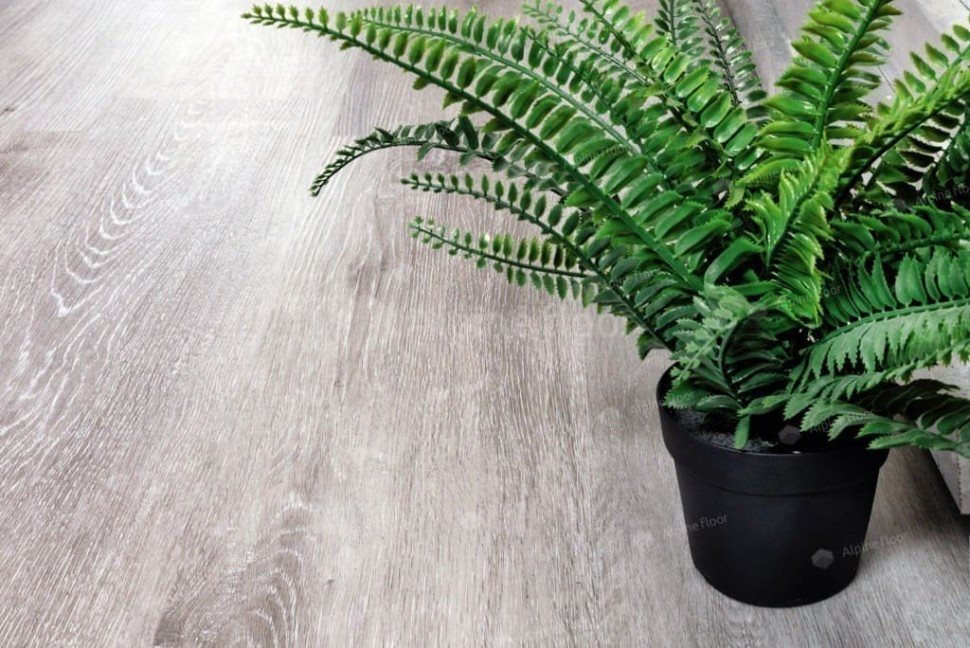 Виниловый ламинат "Alpine Floor" Classic Light MC Ясень Серый (1220*183*3,5 мм) — купить в Екатеринбурге