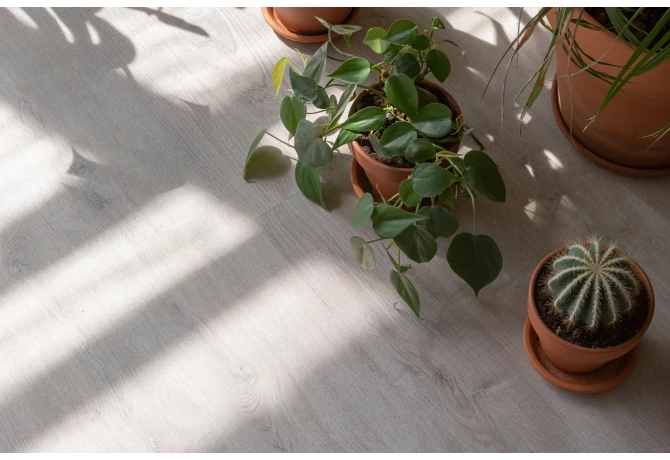 Кварц-винил Дуб Ален (1228*188*2,5 мм) — купить в Екатеринбурге