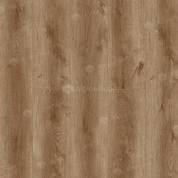 Ламинат "Camsan" Дуб Ивори (1380*192,5*8 мм) — фото и характеристики